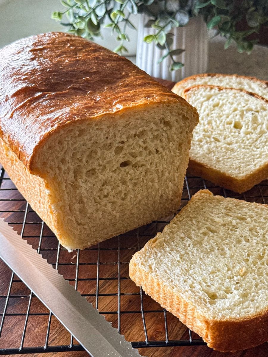 Homemade Sandwich Bread Recipe